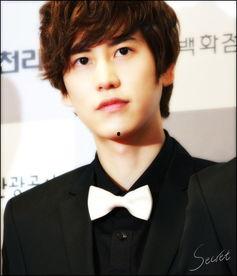 日本最帅的男明星,盘点最帅男明星风采