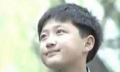 童星李传个人资料,从璀璨童星到成熟演员的成长之路